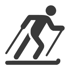 Лыжные тренажеры 