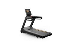 Беговая дорожка Endurance с консолью Touch Base T-ES-02-F/TOUCH BASE-C