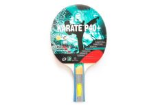 Теннисная ракетка Weekend Dragon Karate 4 Star New (анатомическая) 51.624.01.1